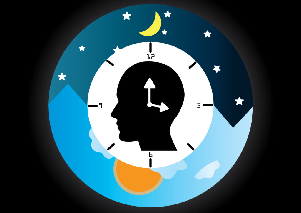 The Clock in Our Brain | Psychology India Magazine